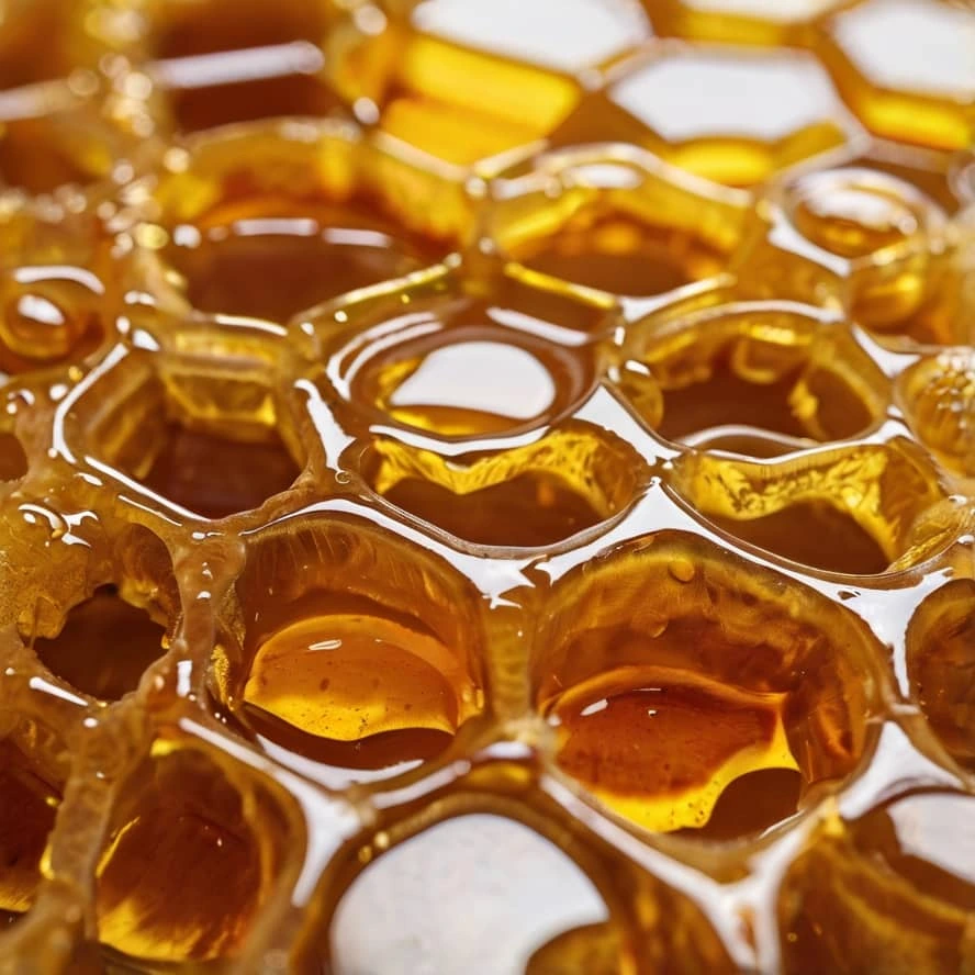 عسل طبیعی و ارگانیک:خواص عسل، خرید عسل و تفاوت با عسل مسموم