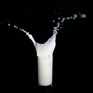 غذاهای پروتئین دار-غذاهای عضله ساز برای زنان