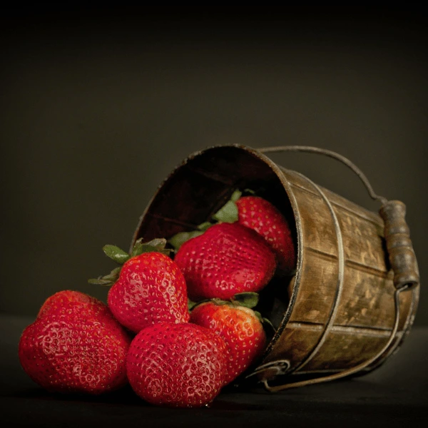 خرید محصولات ارگانیک